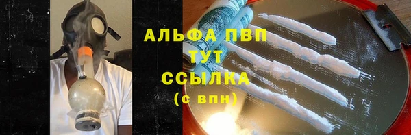 хмурый Белокуриха
