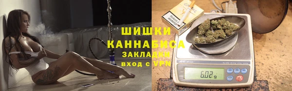 хмурый Белокуриха
