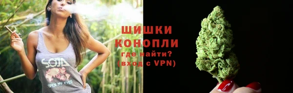 хмурый Белокуриха