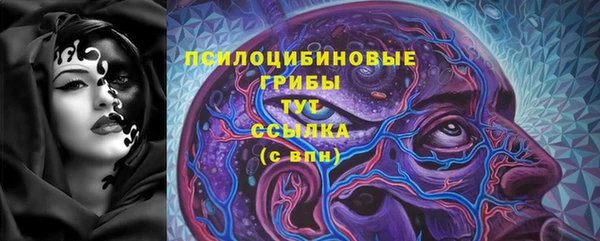 хмурый Белокуриха