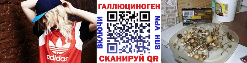 Псилоцибиновые грибы Psilocybe  Шелехов 